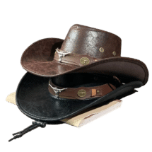 Black and brown Cowboy hat